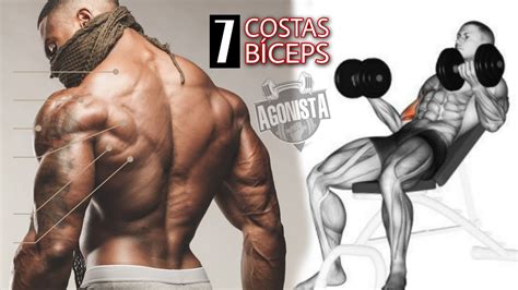 7 Exercícios Treino Completo de Costas e Biceps YouTube