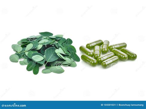 Feuilles De Moringa Et Capsule De Moringa Oleifera Sur Le Blanc Image