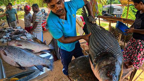 Wow Big Catla Fish Cutting Collection This Is Soo Good Expert Fish