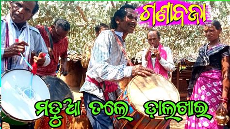 Desi Ganda Baja Video Ll Sambalpuri Baja Ll Madua Tale Ganda Baja Ll