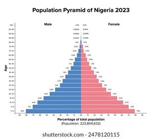 Population Pyramid Nigeria 2023 Age Structure Stock Vector (Royalty ...