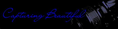 capturing beautiful