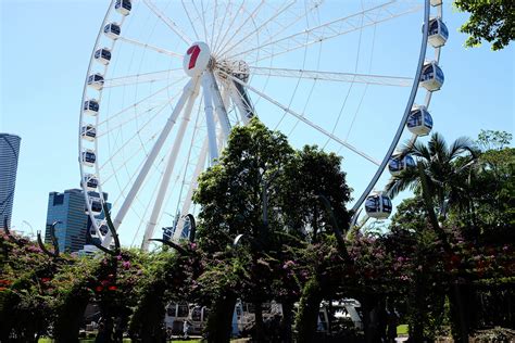 The Wheel of Brisbane - Zinc Moon