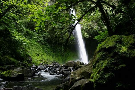 La Fortuna Waterfall, January 26 | David and Enid's Travels