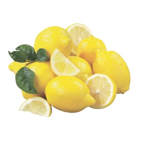 Bibit Jeruk Lemon California Jual Bibit Jeruk Lemon California Asli