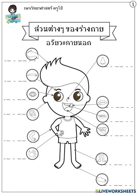 ใบงานร่างกาย Worksheet Live Worksheets