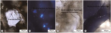 Fluorescence Photographs Of The Fluid Inclusions Of Typical Core