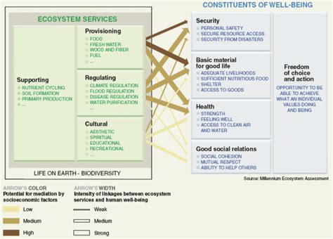 8 Services Provided By Ecosystems Source Mea 2005a Download