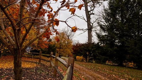 When is peak time for fall leaves in Ohio?