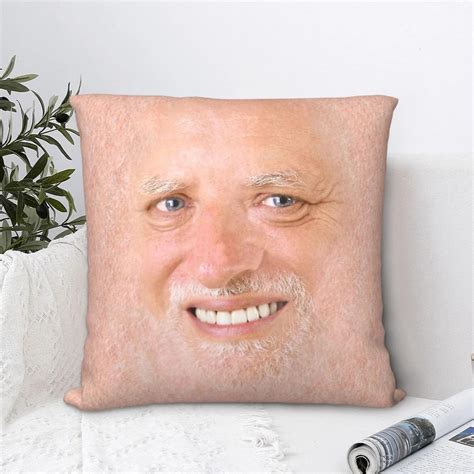 Meme Decorative Pillow Hide Pain Harold Meme Cushion Covers Meme