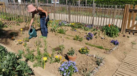 Exposition Les Jardins Du Grand Paris Visite Guid E Mus De Suresnes