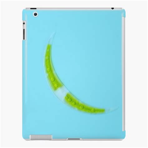 "Closterium desmid alga under the microscope" iPad Case & Skin for Sale ...