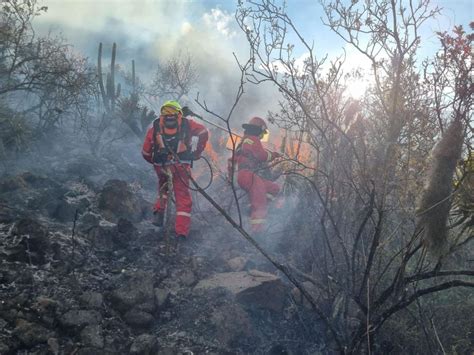 Indeci Extinguen Incendios Forestales En Seis Regiones Del País