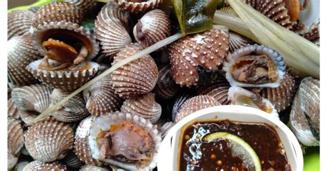 Resep Kerang Dara Rebus Sambel Kecap Bawang Putih Oleh Anny Hamdani