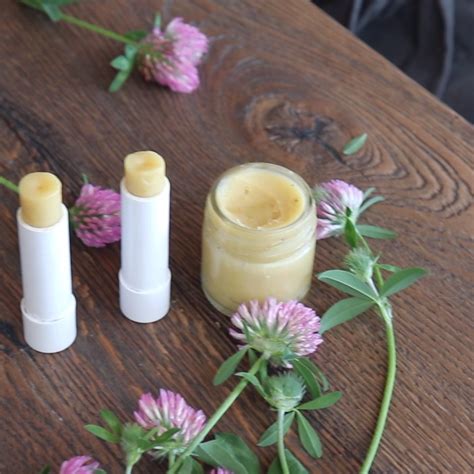 Top 15 Diy Homemade Lip Balms And How To Make Them Artofit