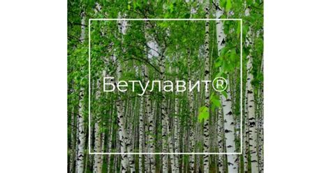Бетулавит® - экстракт бересты
