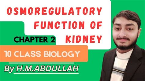 Osmoregulatory Function Of Kidney 10 Class Biology Chapter 11