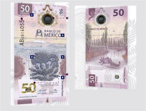 Este Es El Nuevo Billete De 50 Pesos Homenajea Al Ajolote Y A