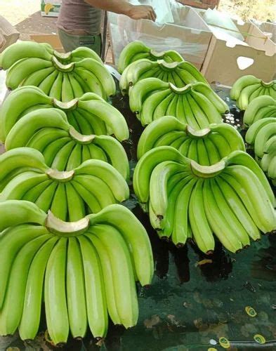 A Grade Indian Cavendish Banana Packaging Type Carton Packaging Size