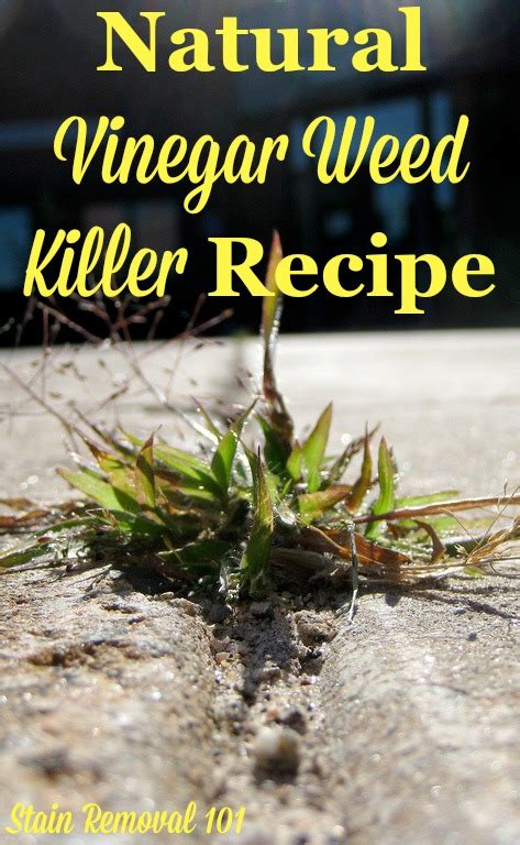 Natural Vinegar Weed Killer Recipe {Simple & Frugal}