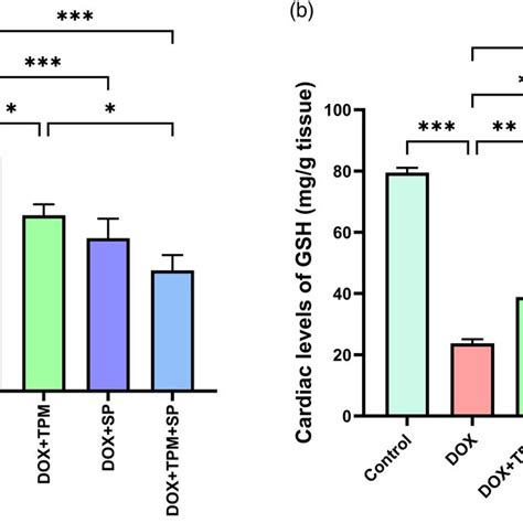 Effect Of Topiramate And Spirulina On Cardiac Tissue Oxidative Stress