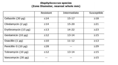 Microbiology Lab Practical 2 All Lab Quizzes Flashcards Quizlet