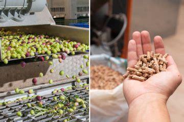 Po Le Bois Des Granul S Fabriqu S Partir De Noyaux D Olives Pour