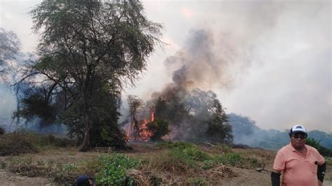 Incendio Forestal Provocado Por Campesinos Arrasa Casi Hect Reas De