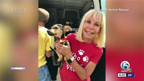 Dogs Rescued From Puerto Rico Up For Adoption