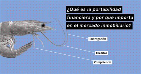 Qu Es La Portabilidad Financiera Y Por Qu Importa En El Mercado