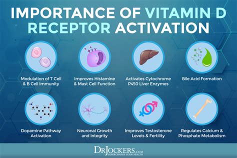 Vitamin D Resistance And Autoimmunity