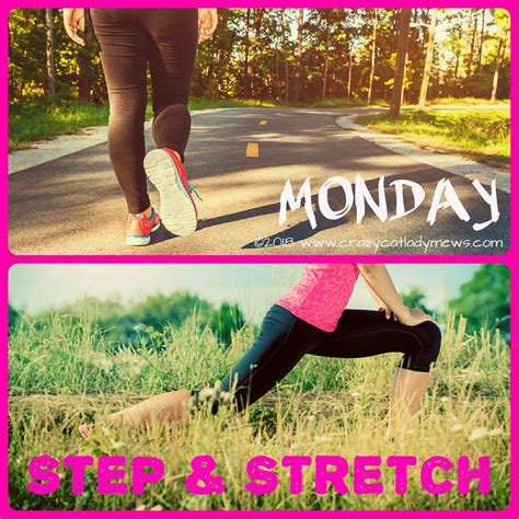 Monday Step And Stretch Crazy Cat Lady Mews