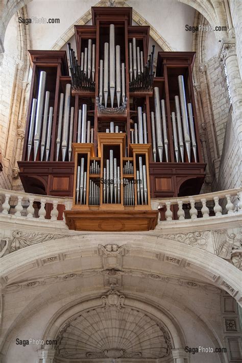 Photo De Orgue Coquille Saint Jacques Symbole Du Pelerin De