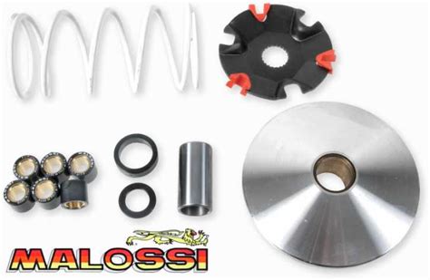 Variomatik Variator MALOSSI Multivar für APRILIA SR 2000 Scarabeo DiTech