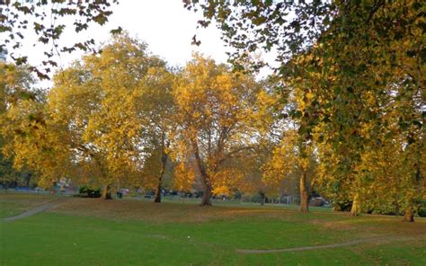 Lewisham Park, Lewisham | GoParksLondon