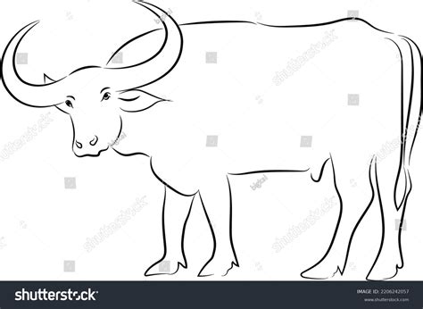 Hand Drawn Vector Buffalo Sketch Illustration Stock Vector (Royalty Free) 2206242057 | Shutterstock