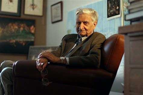 E O Wilson The Extraordinary Ant Researcher And Sociobiologist Who