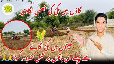 Incredible Traditional Village Life Pakistan Pakistan Farming Vlog