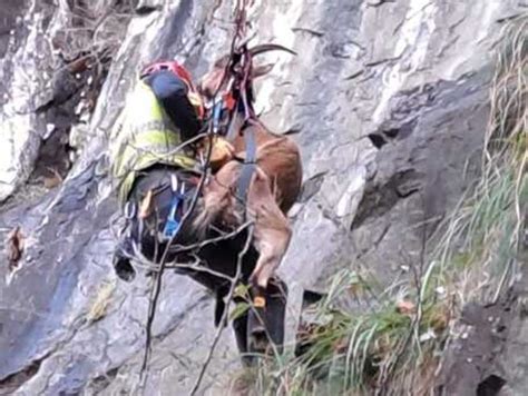 Imbragate E Portate In Salvo Intervento Del Soccorso Alpino Per Un