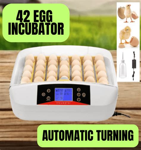 42 Egg Incubator Digital Automatic Hatching Pickup Delivery Pet