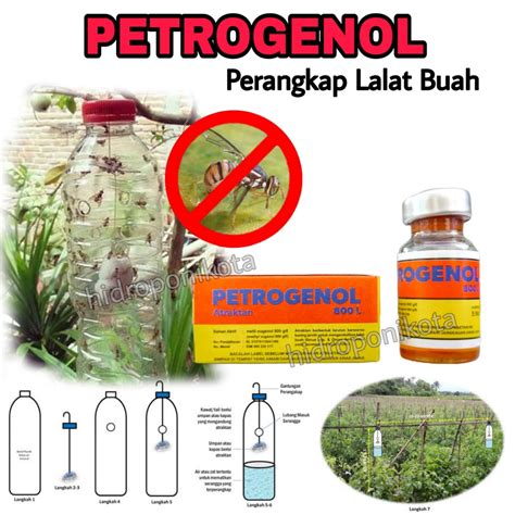 Jual PETROGENOL 800L Isi 5 Ml Perangkap Serangga Dan Lalat Shopee