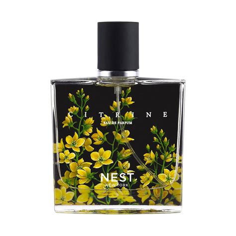 The 16 Best Citrus Perfumes at Every Price Point in 2023 | Who What Wear