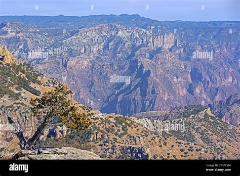 View Over The Copper Canyon Barrancas Del Cobre Near El Divisadero In