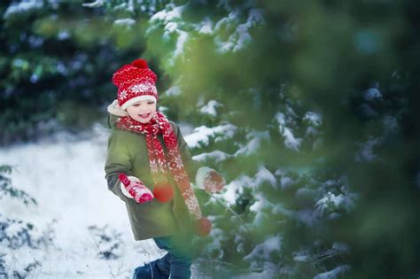 13 Beautiful Christmas Tree Farms in Vermont Where You Can Cut Your Own