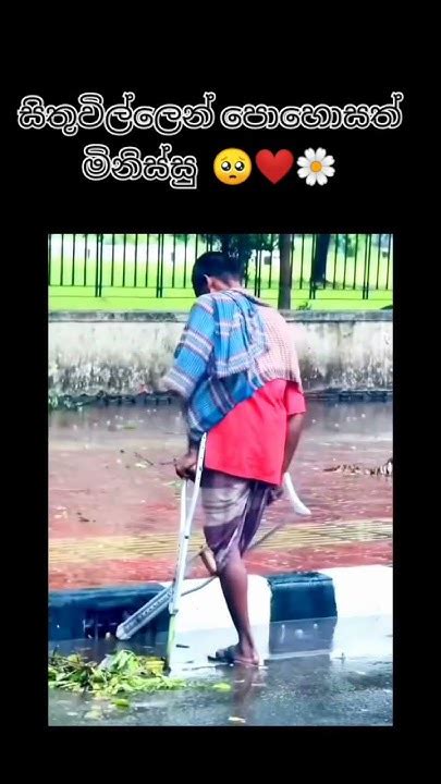 යමක් හිතන්න ඉතුරු කරන Video එකක් 🥺 ️🌼 Shorts Viral Srilanka Youtube