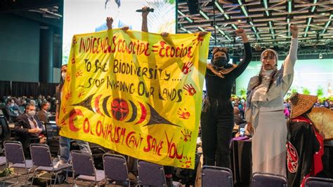 Cop15 Indigenous Leaders Calling For More Involvement In Conservation