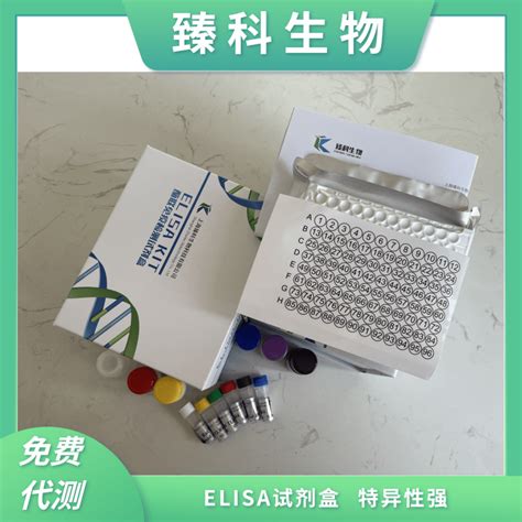 人张力蛋白4tns4）酶联免疫elisa试剂盒48t 上海臻科生物科技有限公司