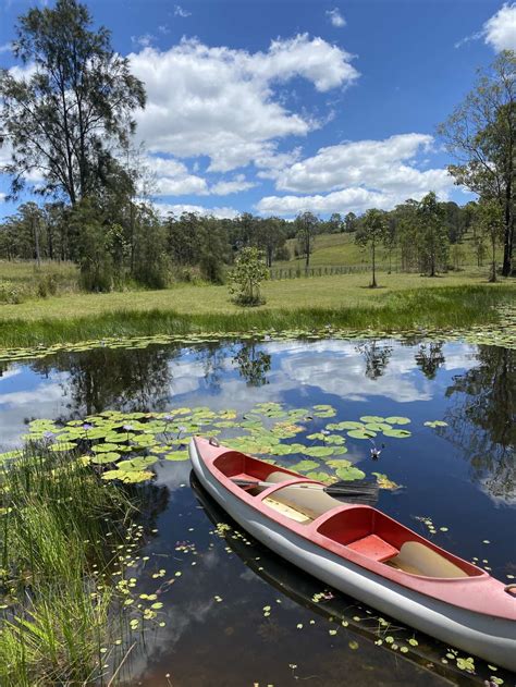 The Riverside Farm Escape Minimbah Hipcamp In New South Wales