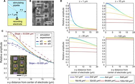 Frontiers Optimal Electrode Size For Multi Scale Extracellular Potential Recording From