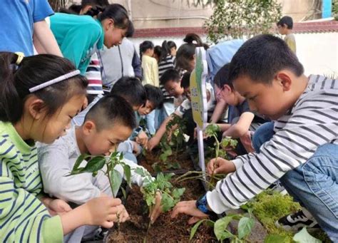 劳动之美 实践之乐——庐江县城关小学劳动教育实践基地活动纪实 中国网